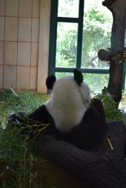 photo 724543