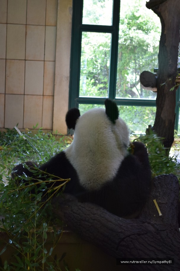 photo 724543