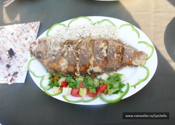photo 21842
