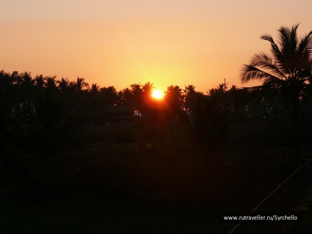 photo 21853