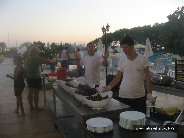 photo 505972