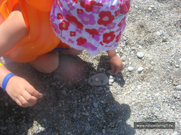 photo 506031