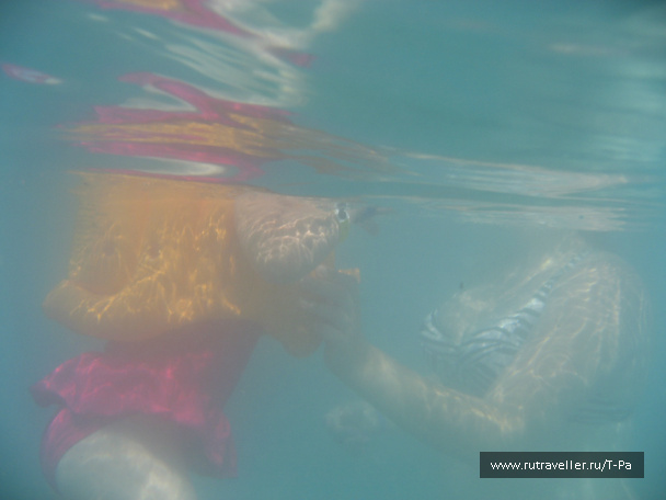photo 506069