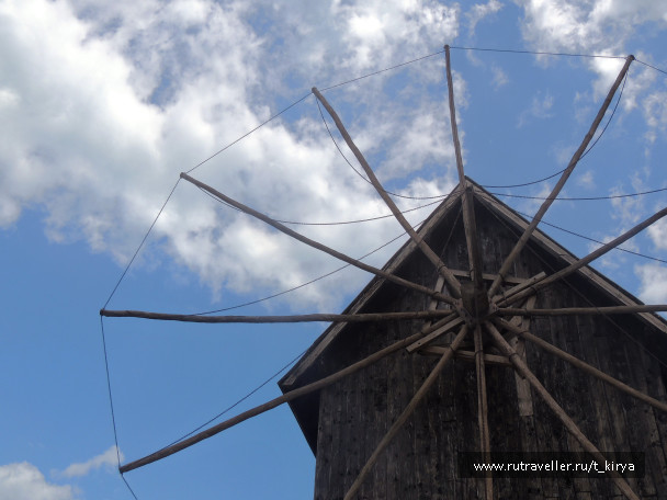 photo 1305816