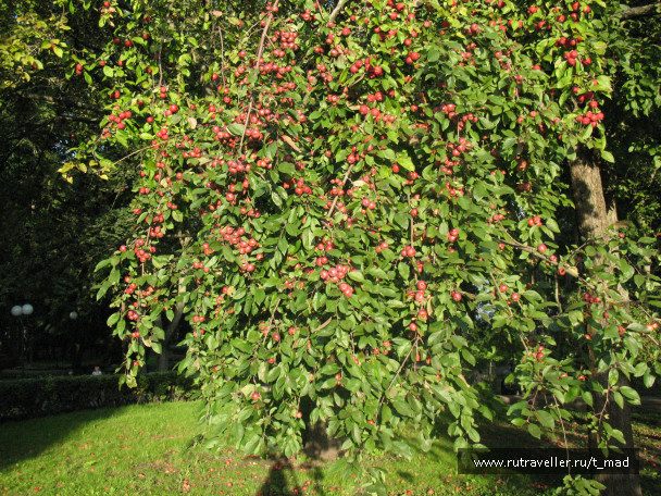 photo 723893