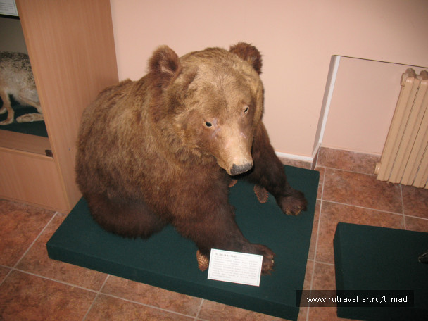 photo 723895