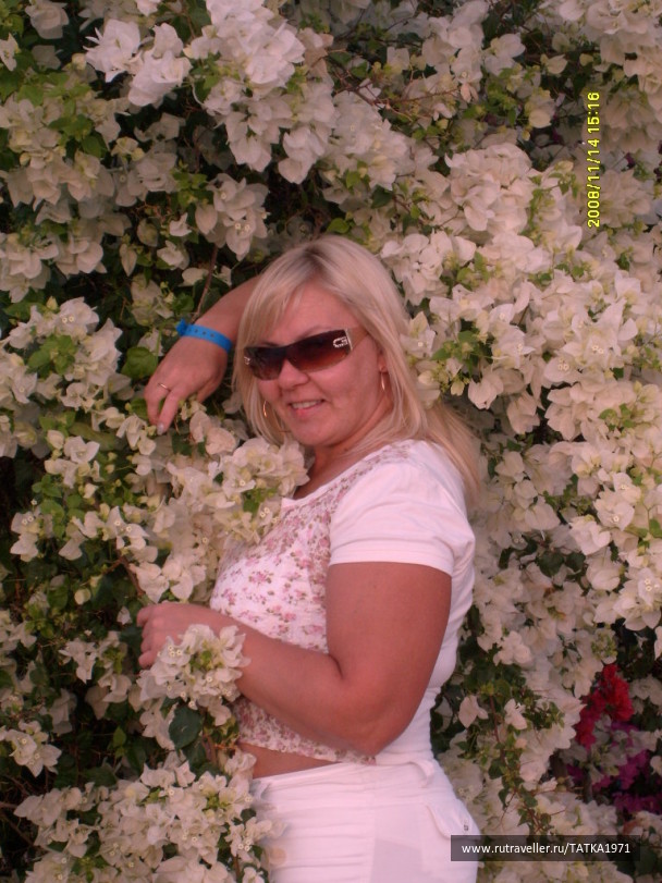 photo 336270