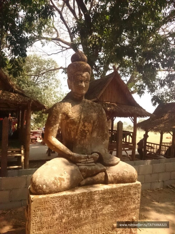 photo 1451503