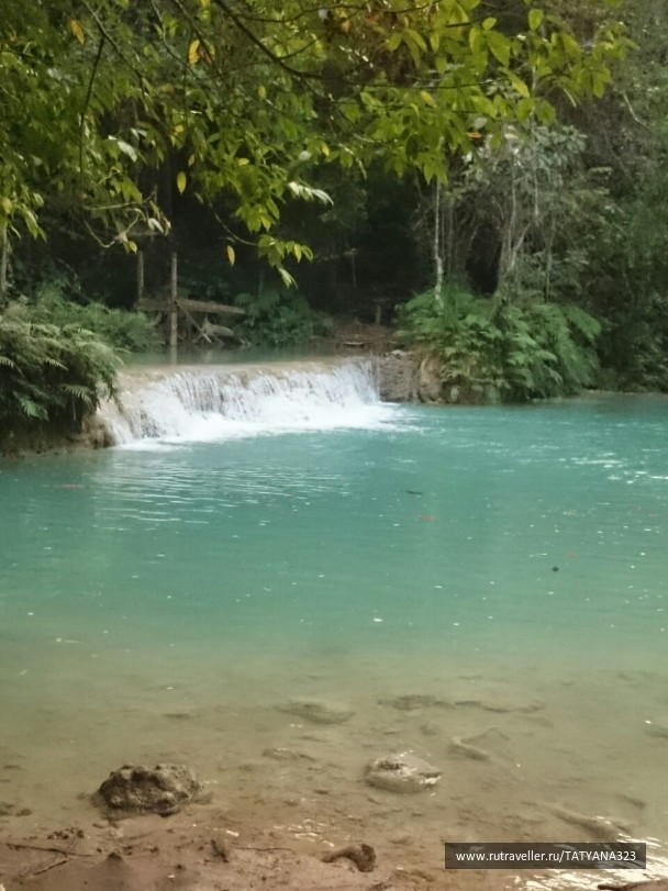 photo 1451533