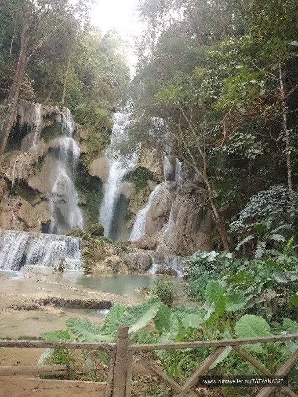 photo 1451537