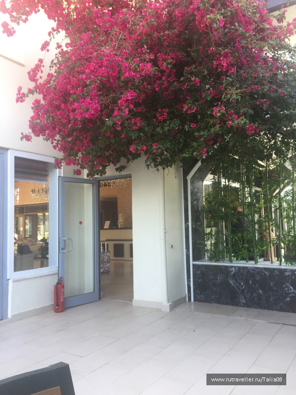 photo 1476857