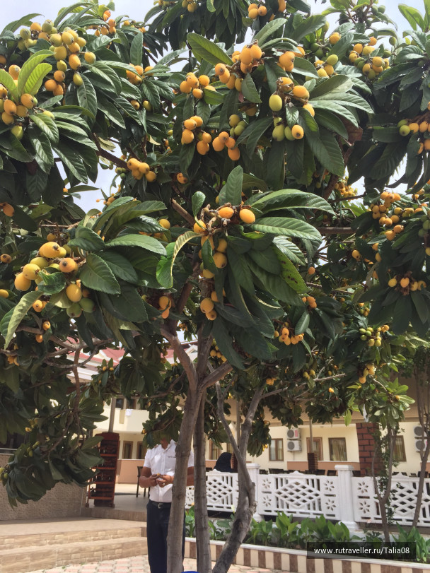 photo 1476873