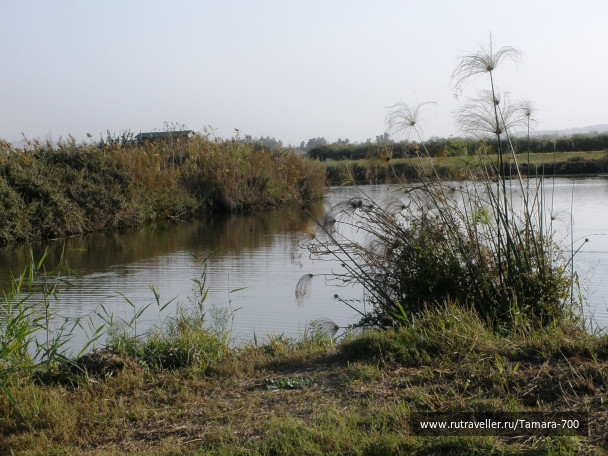 photo 362776