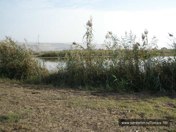 photo 362782
