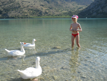 photo 417230