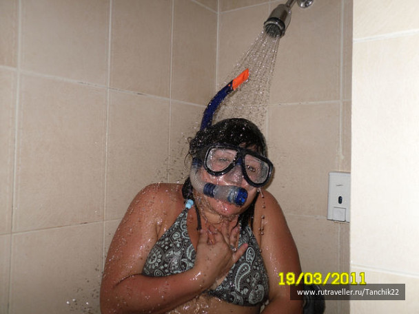 photo 242781