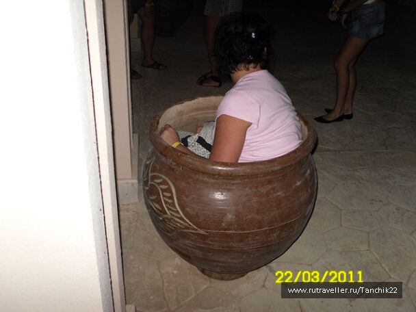 photo 242783