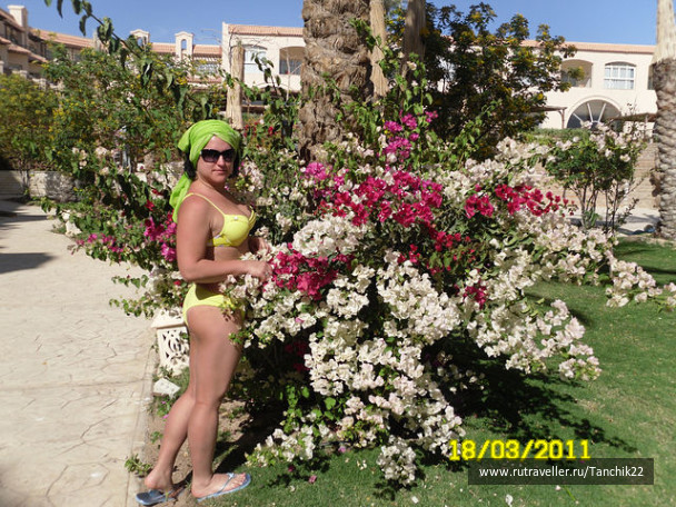 photo 242797