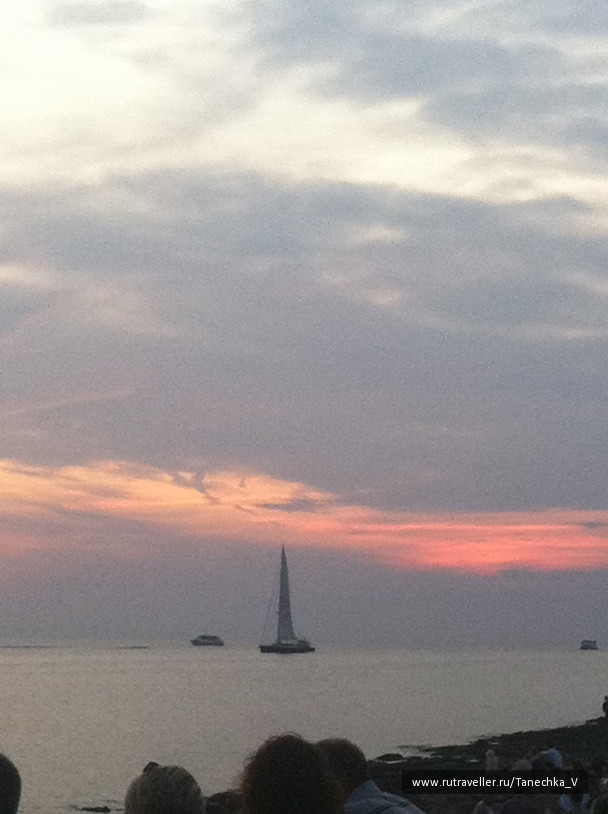 photo 1098494