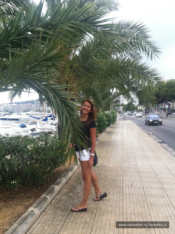 photo 1098514