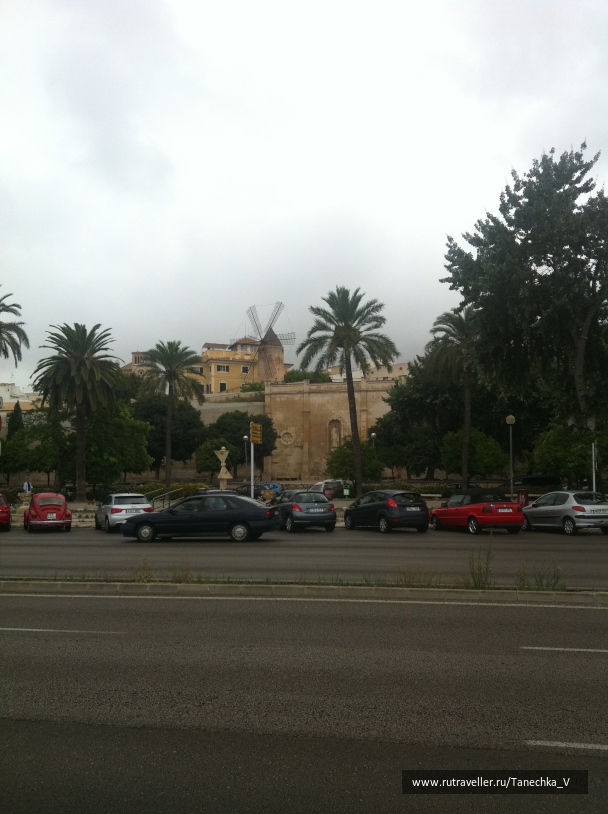 photo 1098515