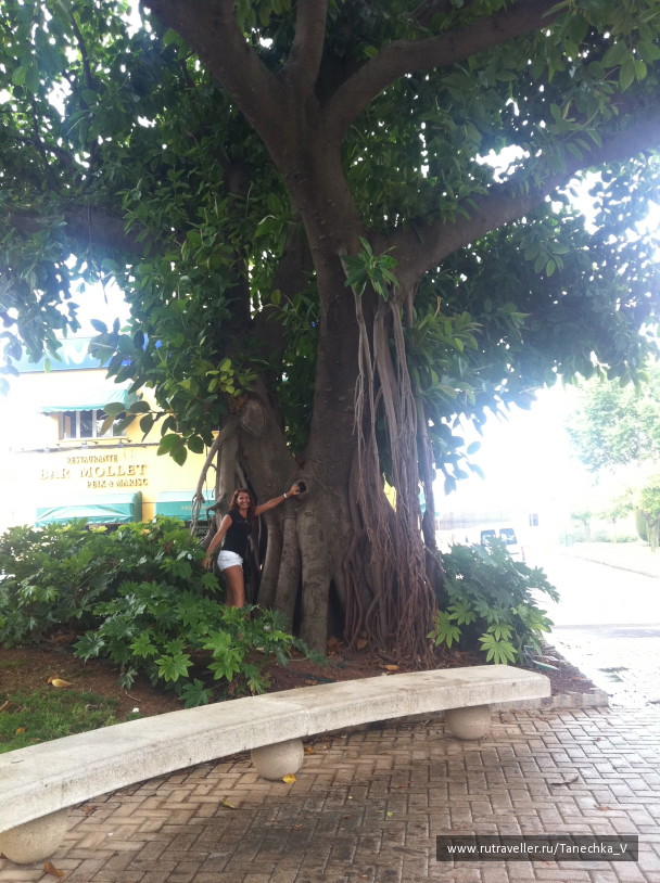 photo 1098518