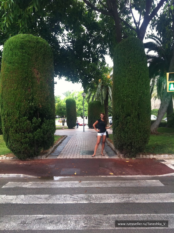 photo 1098519