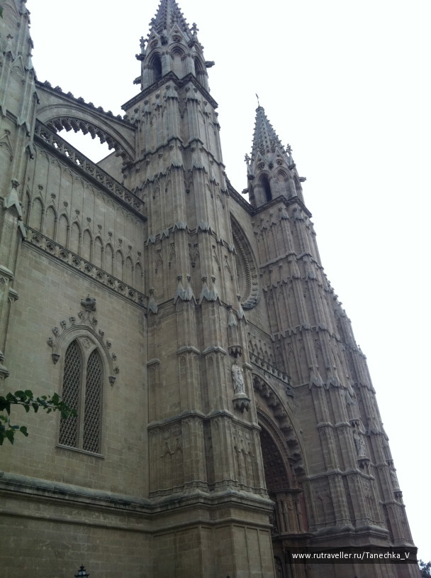 photo 1098537