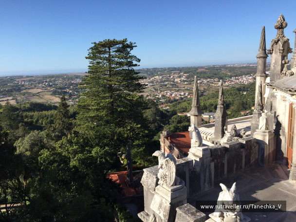 photo 1129778