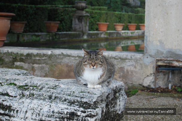 photo 134757