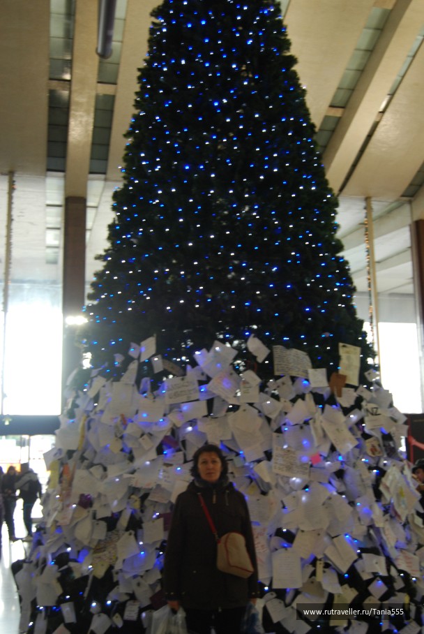 photo 134773