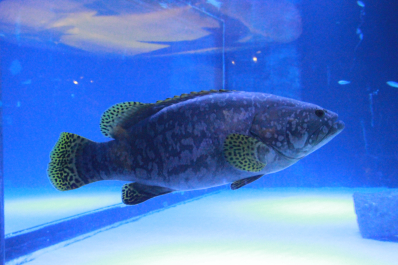 photo 641557