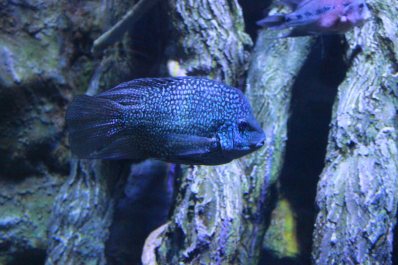 photo 641558