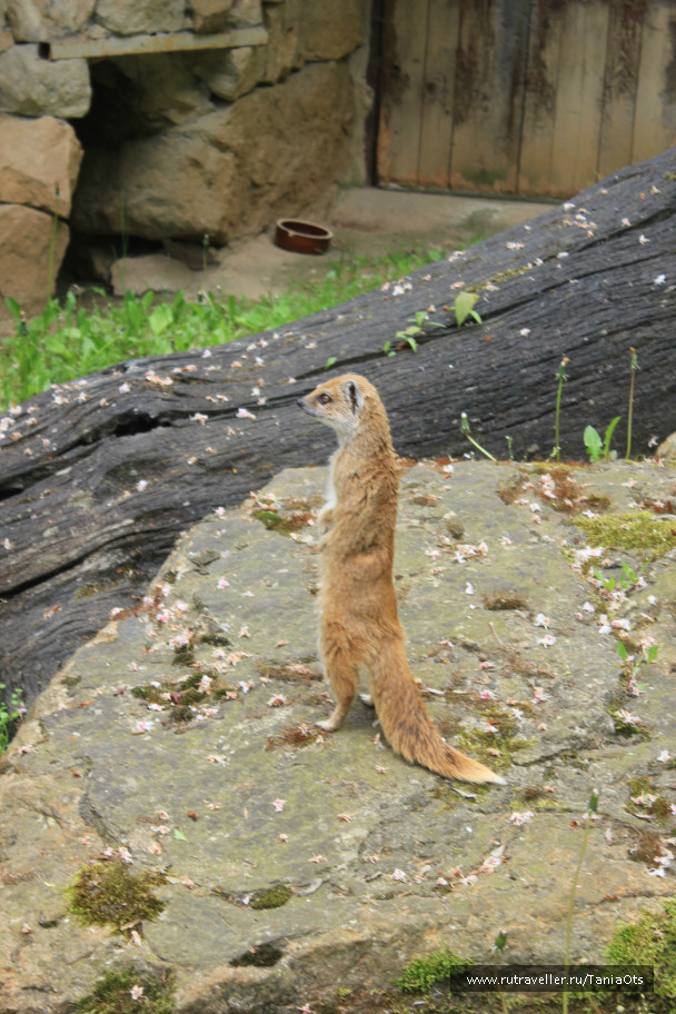 photo 634636
