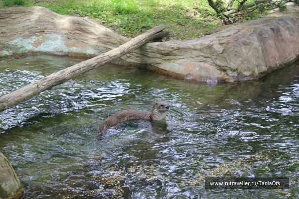 photo 634637
