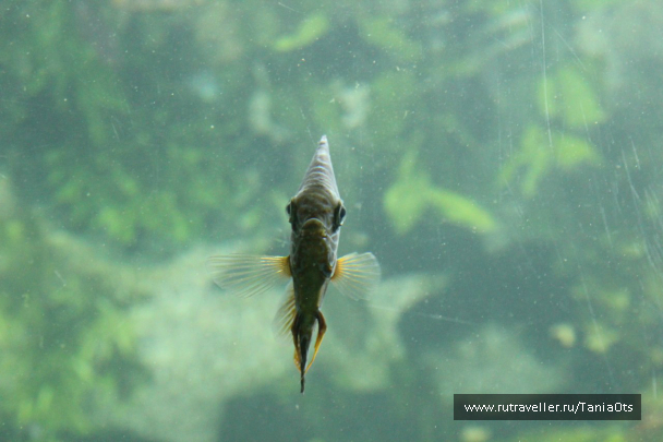 photo 634915
