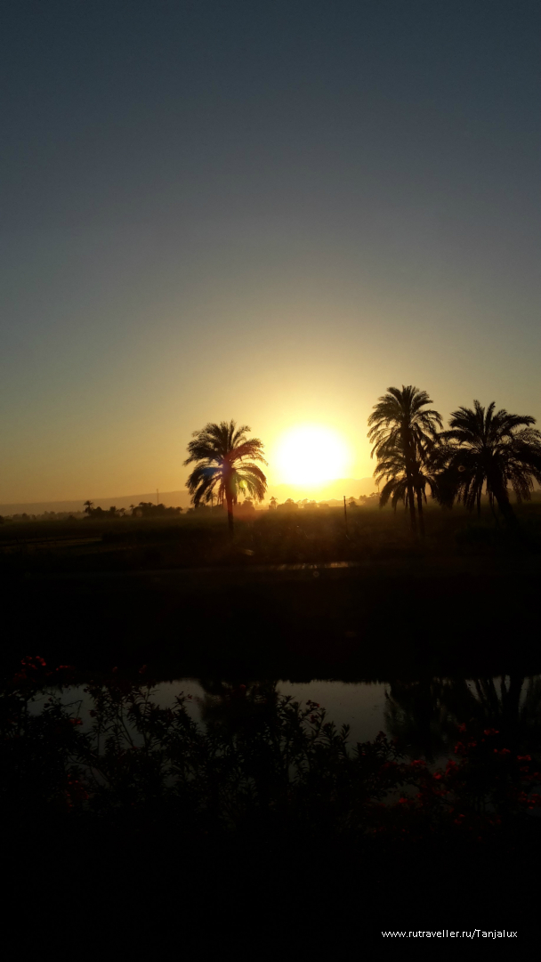 photo 996056
