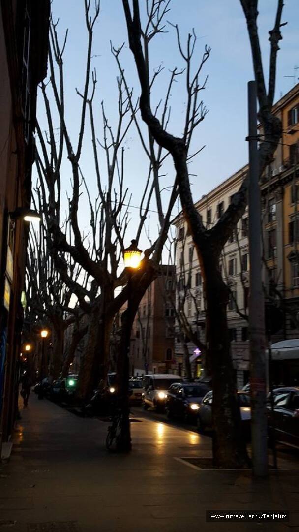 photo 1020684