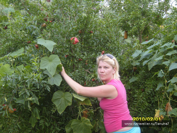 photo 157022