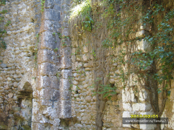 photo 157025