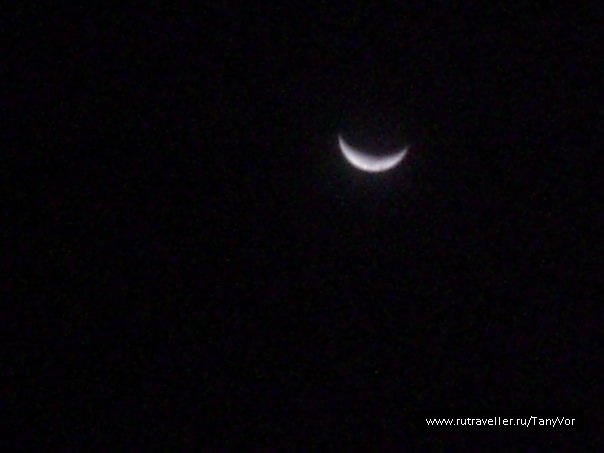 photo 314782