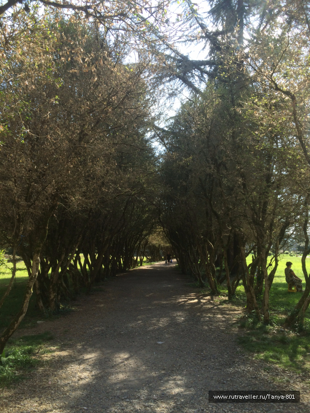photo 1277858