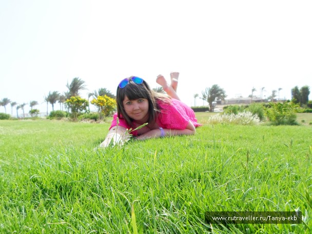 photo 799520