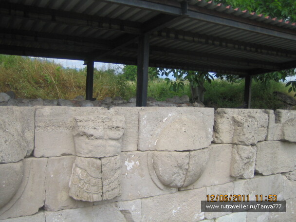 photo 443693