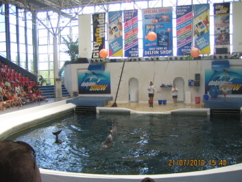 photo 444625
