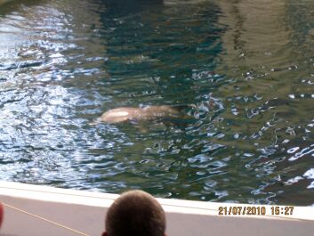 photo 444626