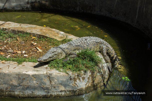 photo 1162250