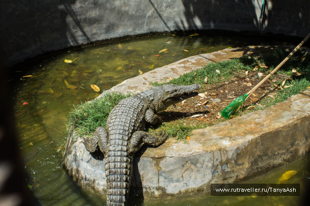 photo 1162251