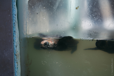 photo 1727308