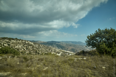 photo 1729705